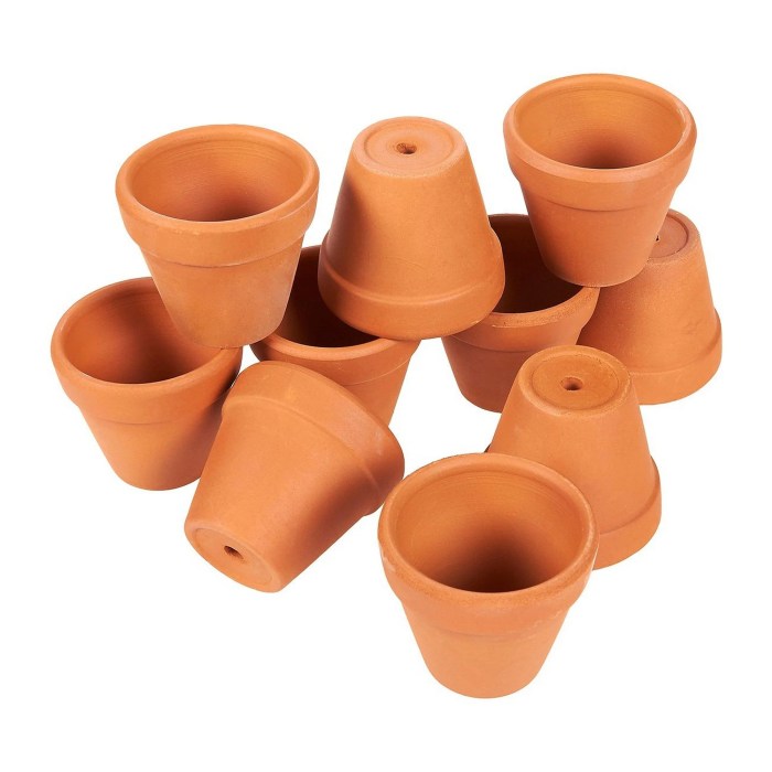 Small terracotta plant pots