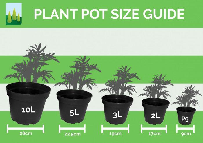 How are plant pots measured