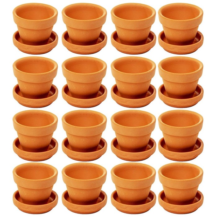 Small terracotta plant pots