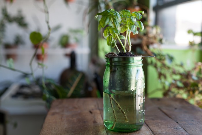 Diy self watering plant pots