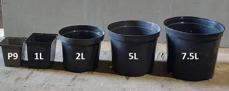 How are plant pots measured